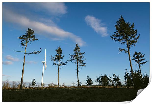 Evening sky and Wind turbine. Print by Liam Grant
