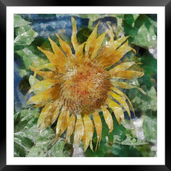 Sunflower Painting Framed Mounted Print by Antony McAulay