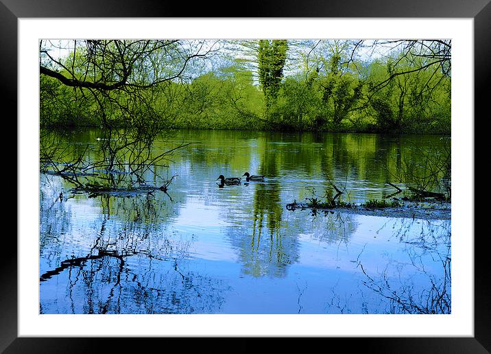 Serenity Framed Mounted Print by Andrew Middleton