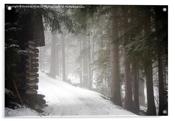 Winter Walk Acrylic by Andreas Klatt