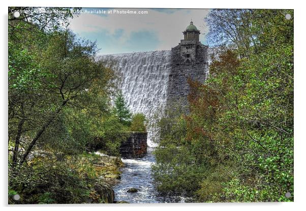 Penygarreg dam and stream Wales Acrylic by Diana Mower