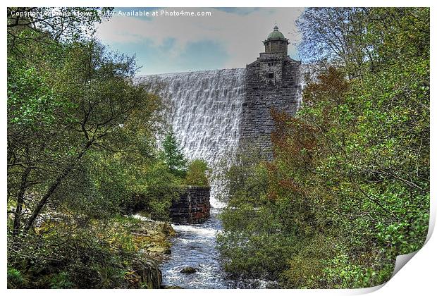 Penygarreg dam and stream Wales Print by Diana Mower
