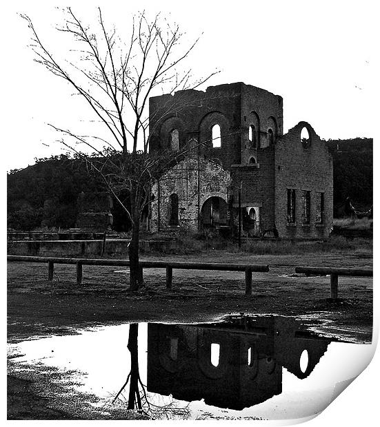 Reflected Ruins Print by Rozlen Willoughby