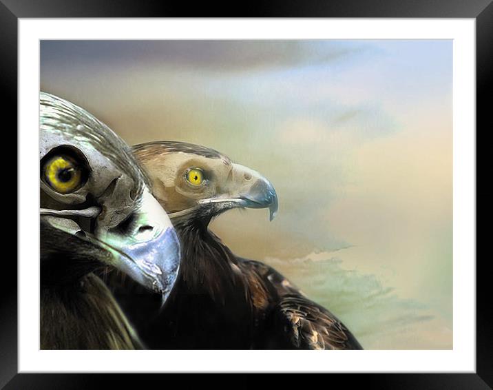 Looking for Prey Framed Mounted Print by chris blackman