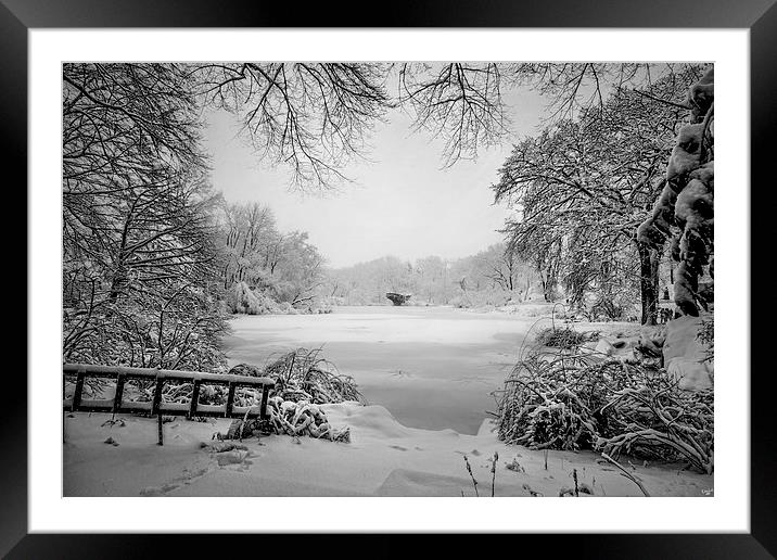 Winter Wonderland Framed Mounted Print by Chris Lord