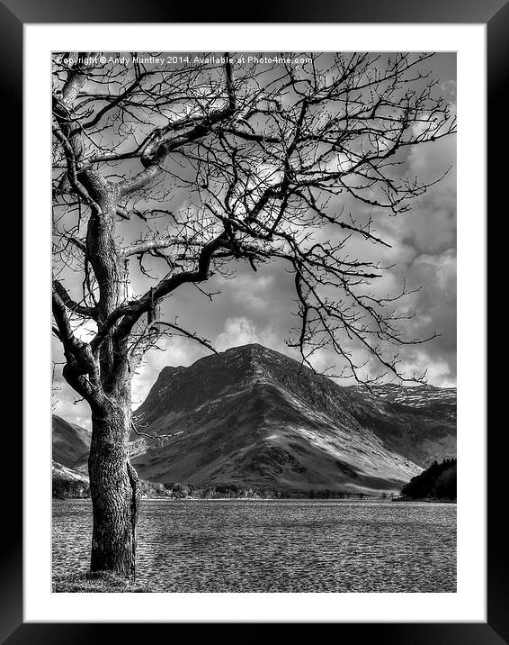 Tree by Lake Framed Mounted Print by Andy Huntley