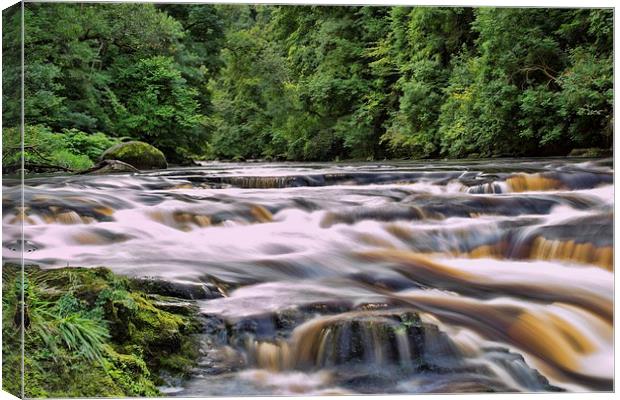 Rushing River Avon Canvas Print by Andrew Mckinlay