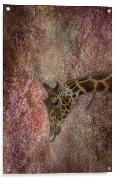 Giraffe Acrylic by Judy Hall-Folde