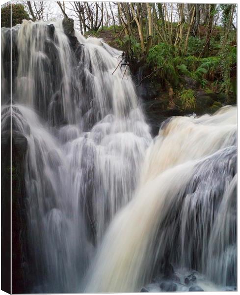 Fairlie Castle Waterfalls Canvas Print by Geo Harris