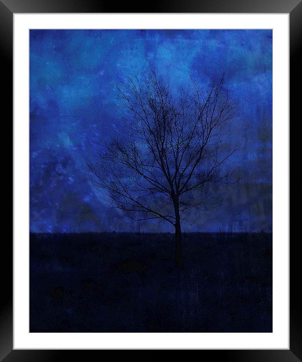 Lonely with the Blues Framed Mounted Print by Tammy Winand