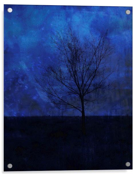 Lonely with the Blues Acrylic by Tammy Winand