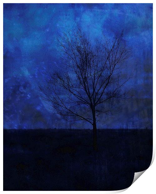 Lonely with the Blues Print by Tammy Winand
