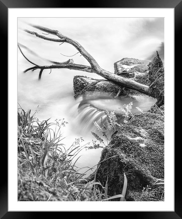 Down by the Riverbank Framed Mounted Print by Christine Smart