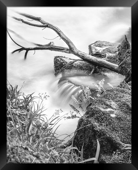 Down by the Riverbank Framed Print by Christine Smart