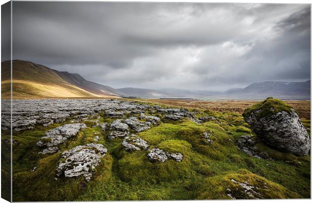 Yorkshire Dales Canvas Print by nick coombs