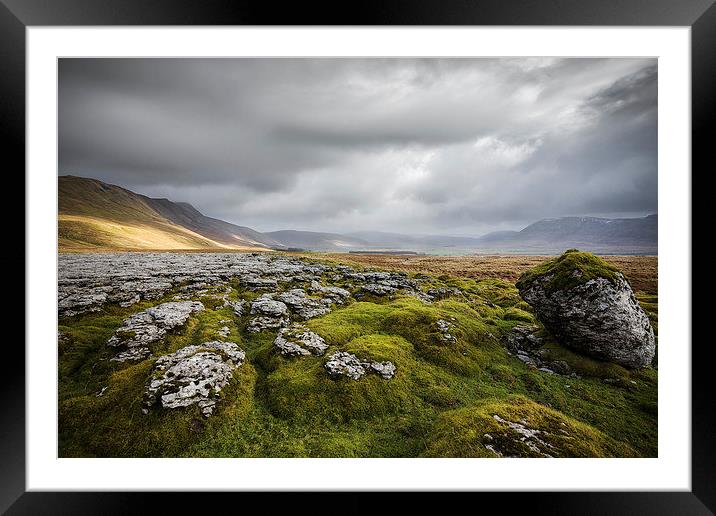Yorkshire Dales Framed Mounted Print by nick coombs
