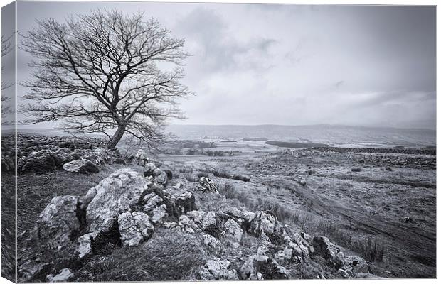 Limestone Edge Canvas Print by nick coombs