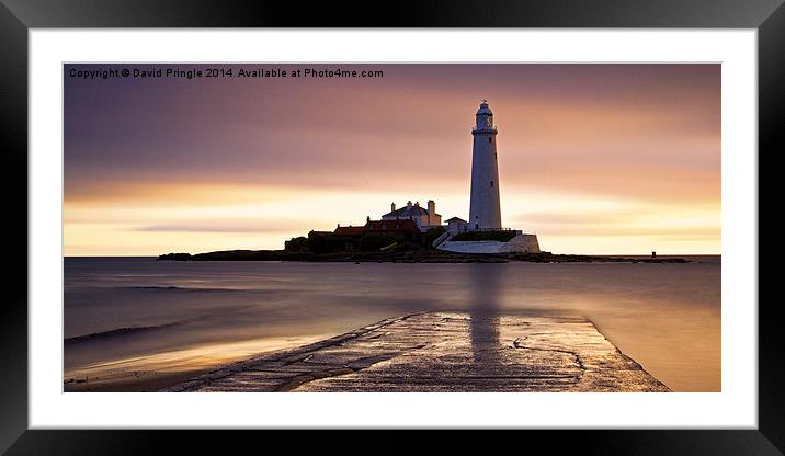 St Mary’s Lighthouse Framed Mounted Print by David Pringle