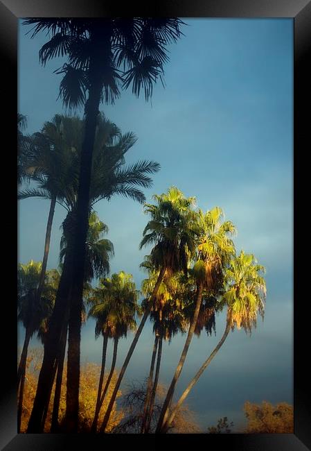 Palms at dusk Framed Print by Jose Manuel Espigares Garc