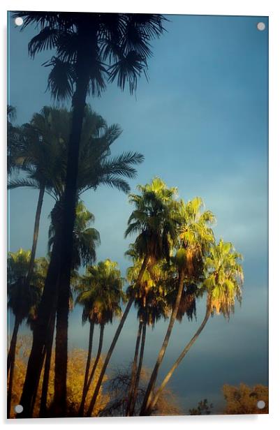 Palms at dusk Acrylic by Jose Manuel Espigares Garc