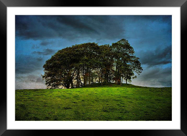 The Copse on the Hill Framed Mounted Print by Jacqi Elmslie