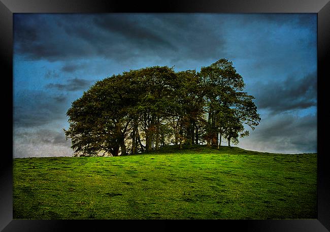 The Copse on the Hill Framed Print by Jacqi Elmslie