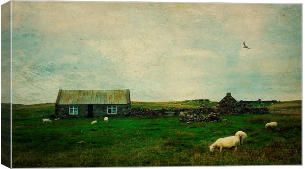 Shetland landscape Canvas Print by Heather Newton
