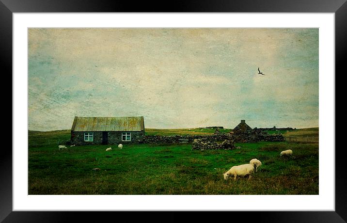 Shetland landscape Framed Mounted Print by Heather Newton