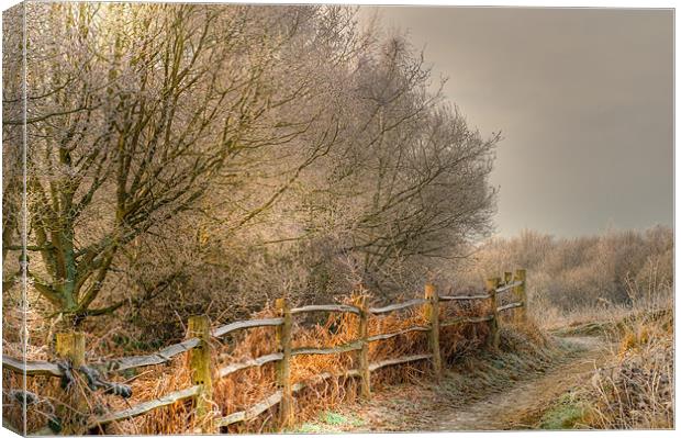 common frost Canvas Print by Eddie Howland