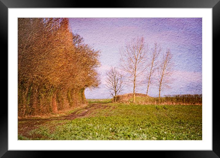 A Leisurely Ramble Framed Mounted Print by Dawn Cox