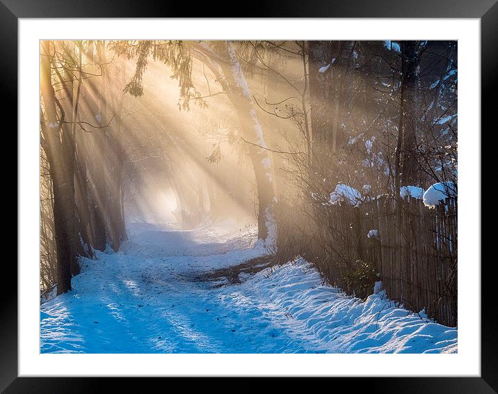 Afternoon Sun Rays Framed Mounted Print by Jan Venter