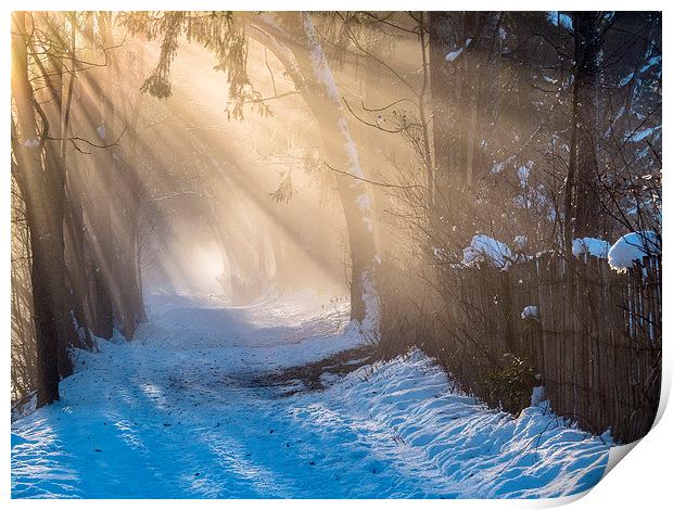 Afternoon Sun Rays Print by Jan Venter