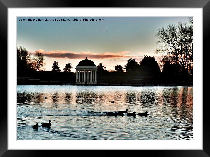 Stanley Park at Sunset Framed Mounted Print by Lilian Marshall