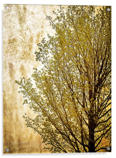 Tree Silhouette Acrylic by Mary Lane