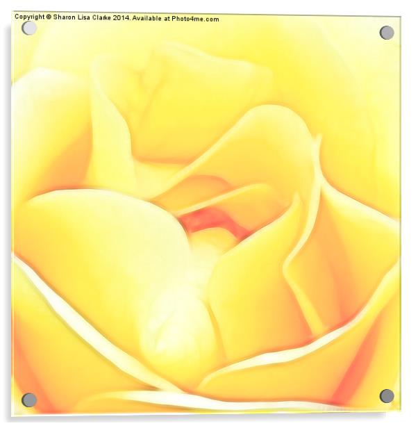 Soft Yellow Rose Acrylic by Sharon Lisa Clarke