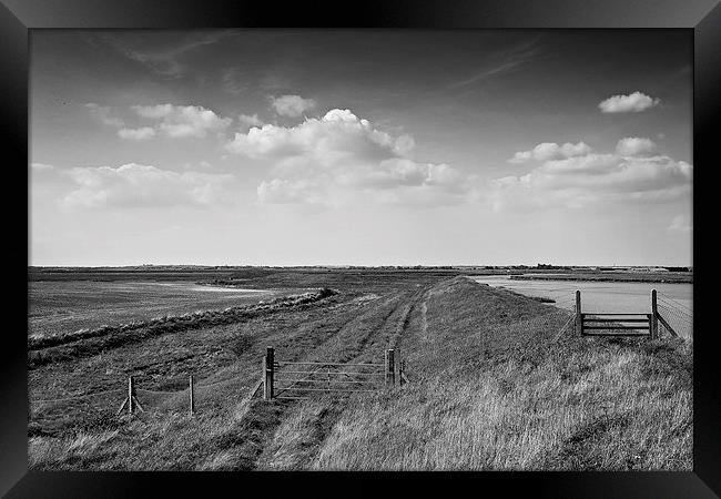 Estuary walk Framed Print by kev bates