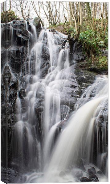 Fairlie Castle Waterfall Canvas Print by Geo Harris