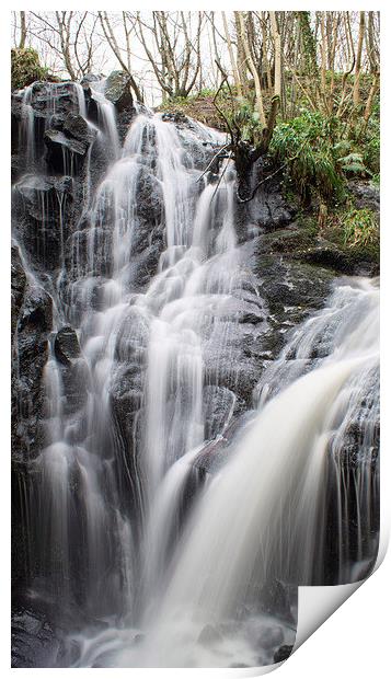 Fairlie Castle Waterfall Print by Geo Harris