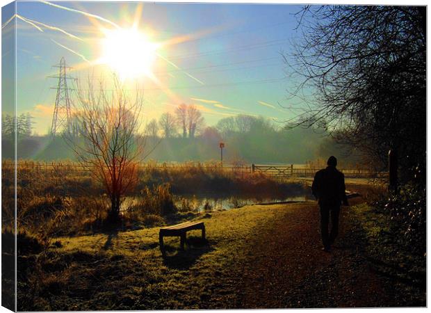 Sunrise. At King Arthurs Lakes Andover, England Canvas Print by Andrew Middleton