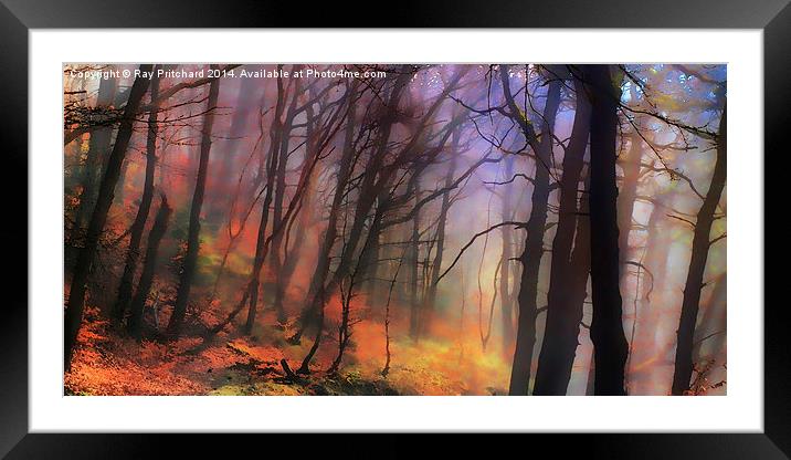 Painted Trees Framed Mounted Print by Ray Pritchard