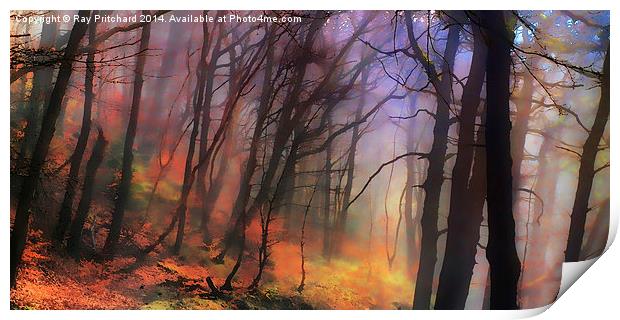Painted Trees Print by Ray Pritchard