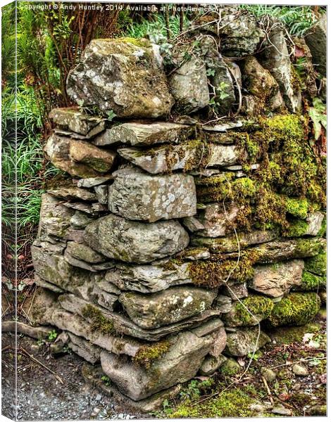Drystone Wall Canvas Print by Andy Huntley