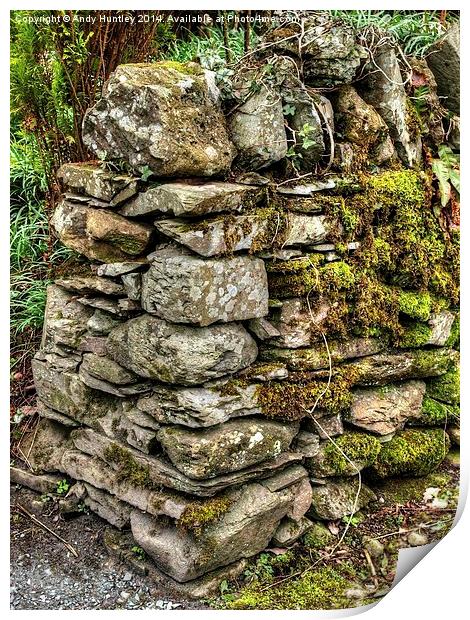 Drystone Wall Print by Andy Huntley