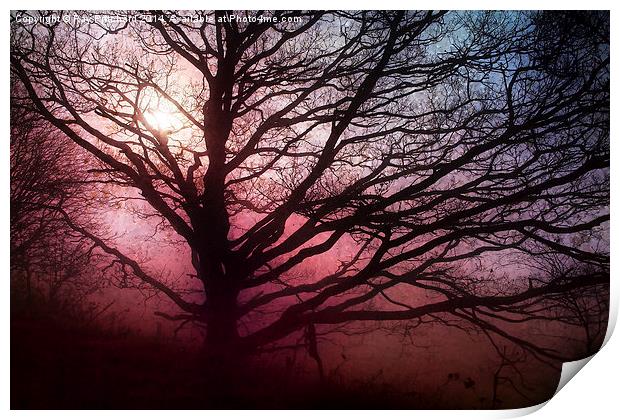 Tree in the Mist Print by Ray Pritchard