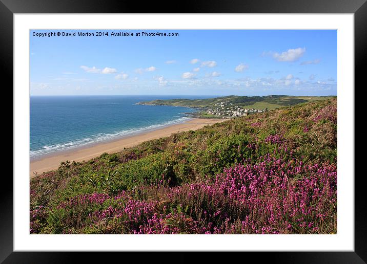 Heather on Woolacombe Down Framed Mounted Print by David Morton