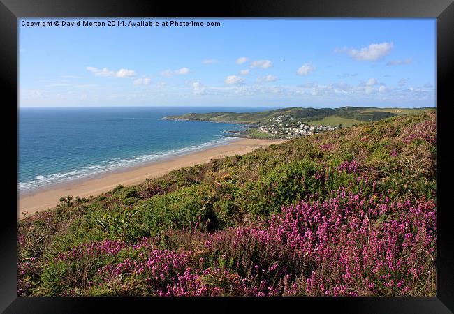 Heather on Woolacombe Down Framed Print by David Morton