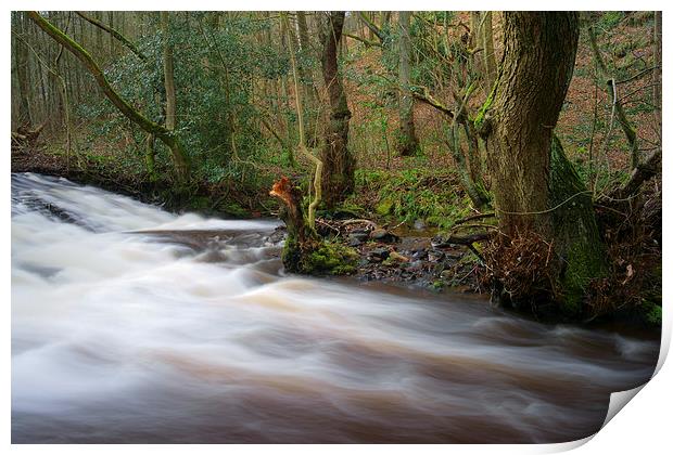 Riverbank View Print by Darren Galpin