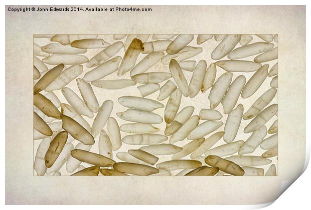 Textured Rice Grains Print by John Edwards
