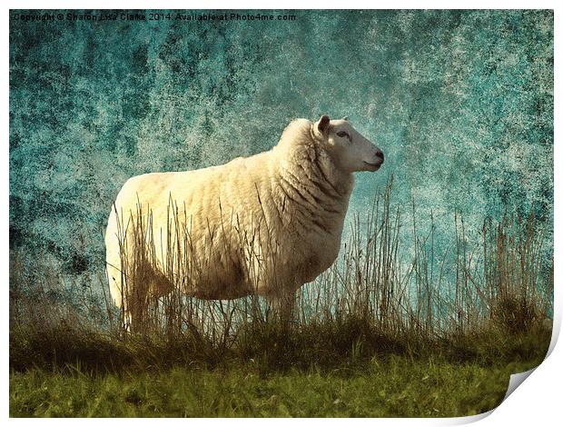 Vintage Sheep Print by Sharon Lisa Clarke