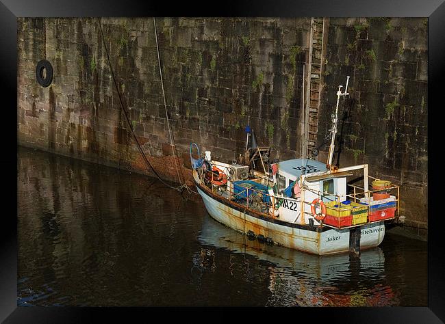 Whitehaven Joker Framed Print by Stephen Wakefield